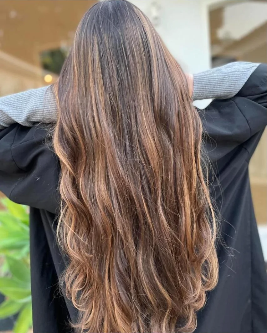 Cabelo castanho longo com mechas cor de caramelo, visto de costas